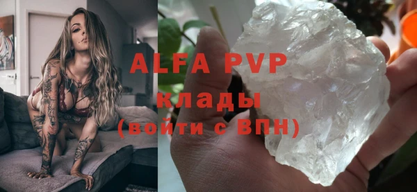индика Дмитров