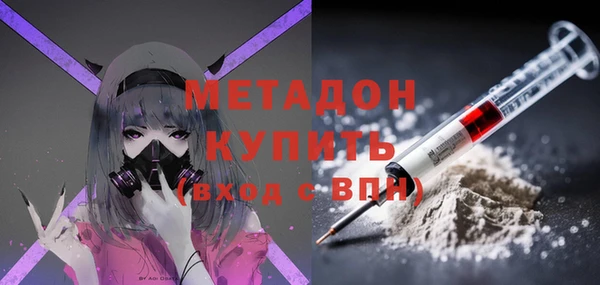 индика Дмитров
