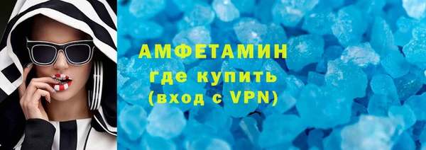 индика Дмитров