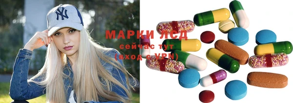 индика Дмитров