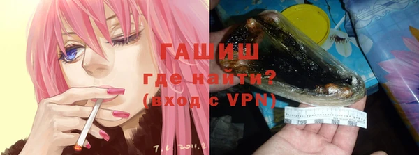 индика Дмитров