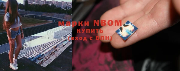 индика Дмитров
