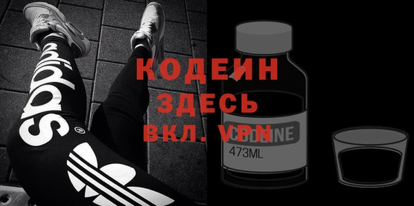 индика Дмитров