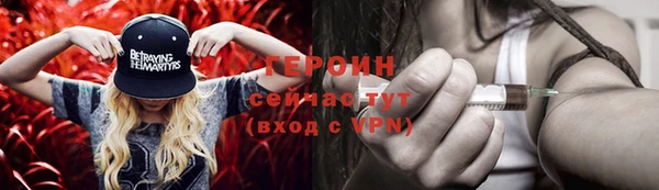 индика Дмитров