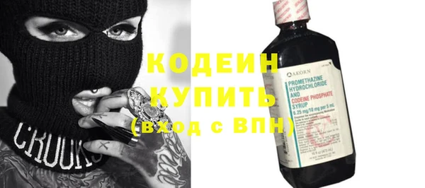 индика Дмитров
