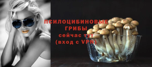 дживик Дмитриев