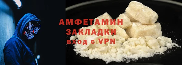 индика Дмитров