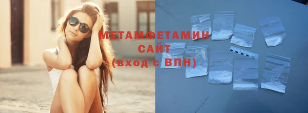 индика Дмитров
