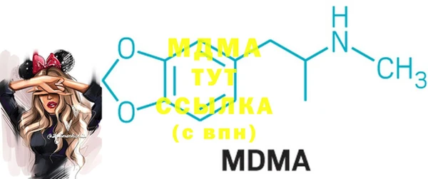 индика Дмитров