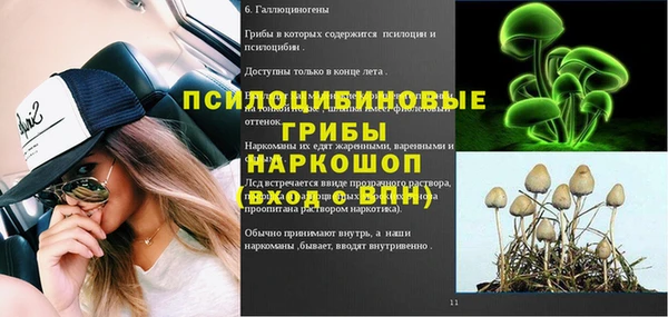 дживик Дмитриев