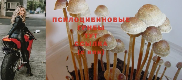 гидра Дмитровск