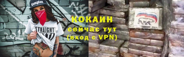 индика Дмитров