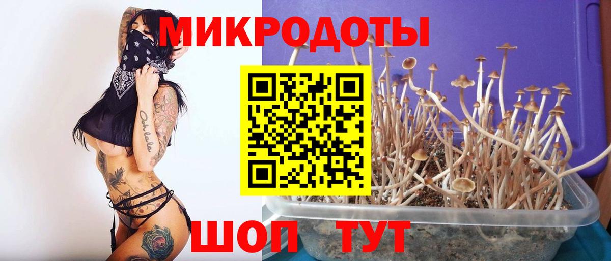 Галлюциногенные грибы Magic Shrooms  Галлюциногенные грибы прущие грибы  Маркс  Вход с VPN 
