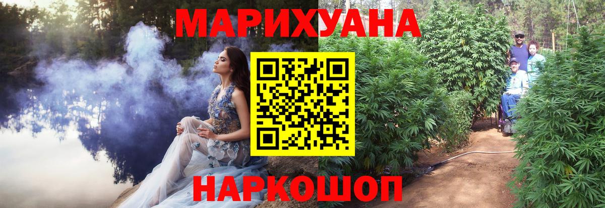 Конопля план  Шишки марихуана сатива  Маркс 